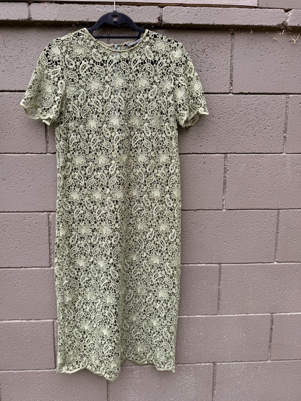 Zara Light Green Lace Midi Dress with Short Sleeves